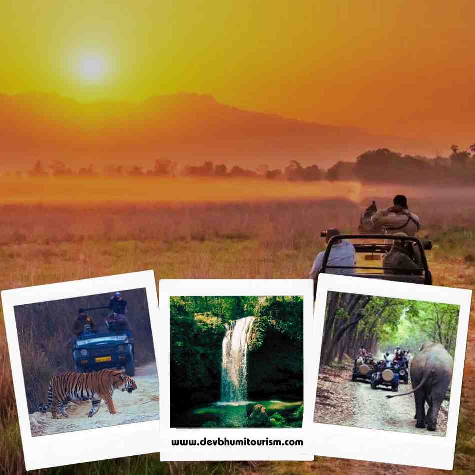 Corbett's Dual Safari Experience Tour - Image 1