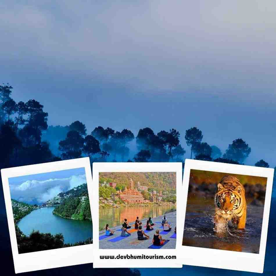 Uttarakhand Nature Bliss Tour - Image 1