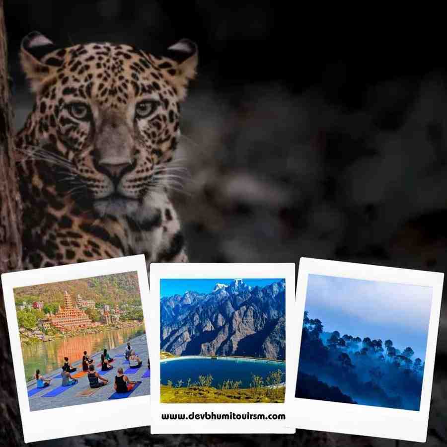 Rishikesh Auli Kausani Corbett Tour - Image 1