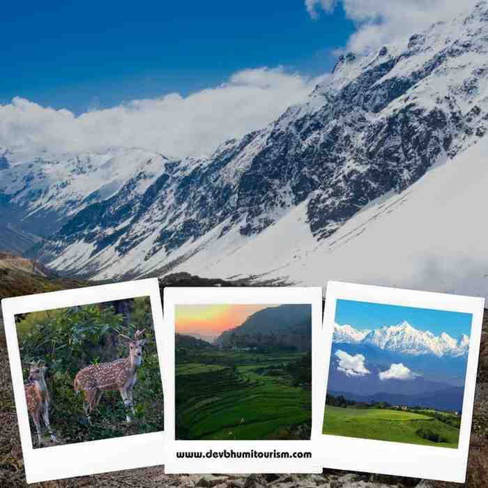 Rishikesh Harshil Chopta Almora Nainital Corbett Tour - Image 1