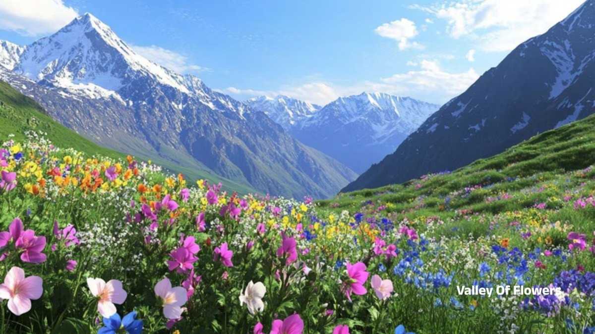 Char Dham Yatra with Valley Of Flowers Ex Dehradun
