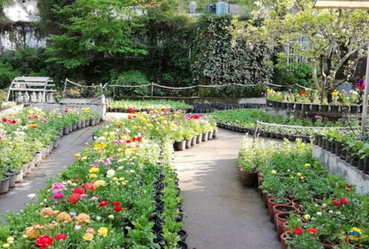 company garden tour