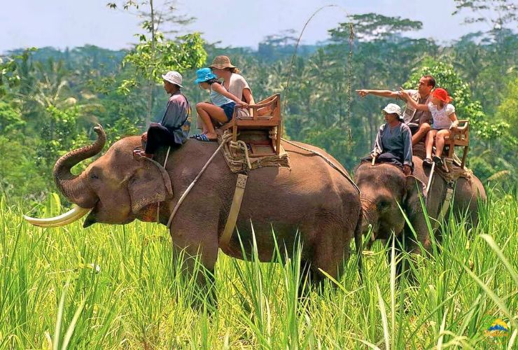 corbett safari tour