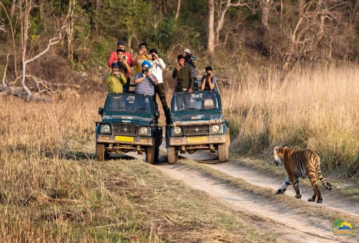 nainital kausani tour package