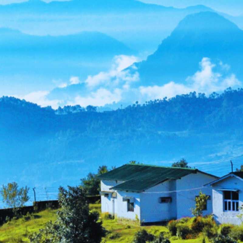 char dham ex dehradun