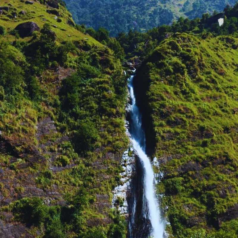 char dham yatra from dehradun