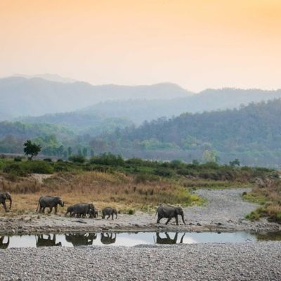 char dham package from dehradun