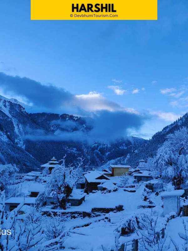 char dham ex dehradun