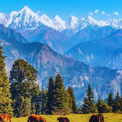 char dham yatra from dehradun