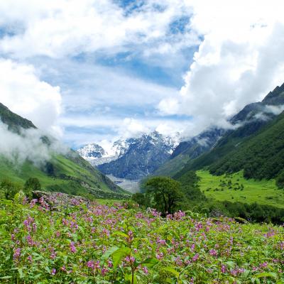 char dham yatra ex dehradun